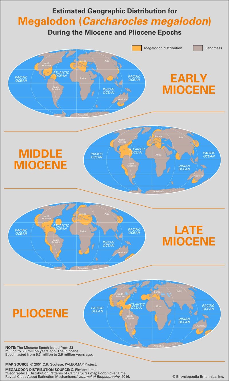 Megalodon's Global Range