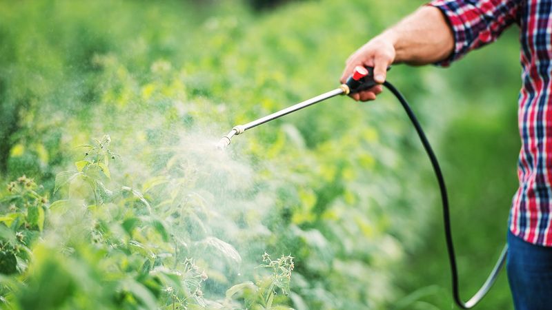 Minimize Pesticide Use