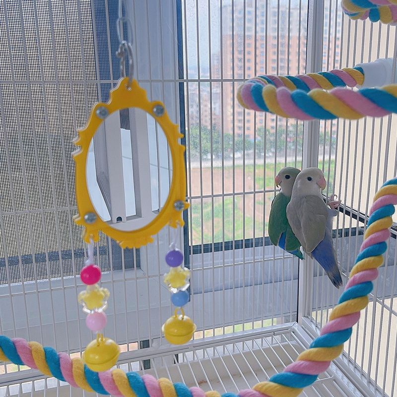 Mirror Companions