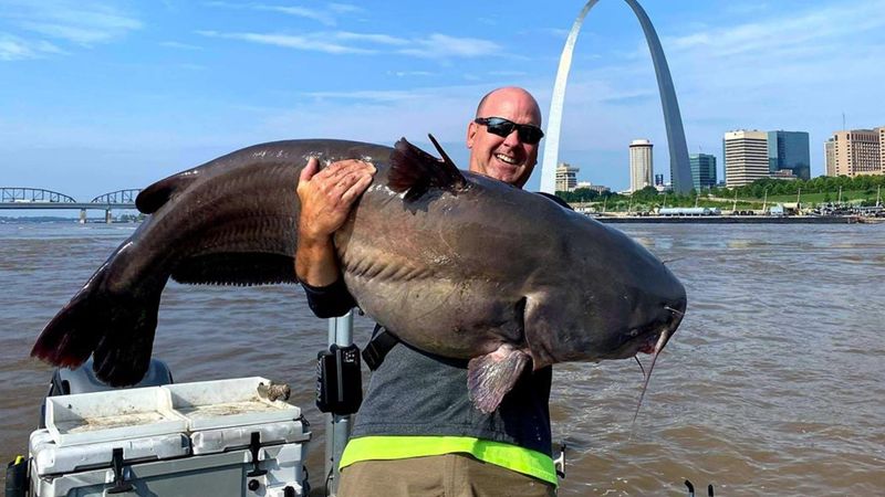 Mississippi River