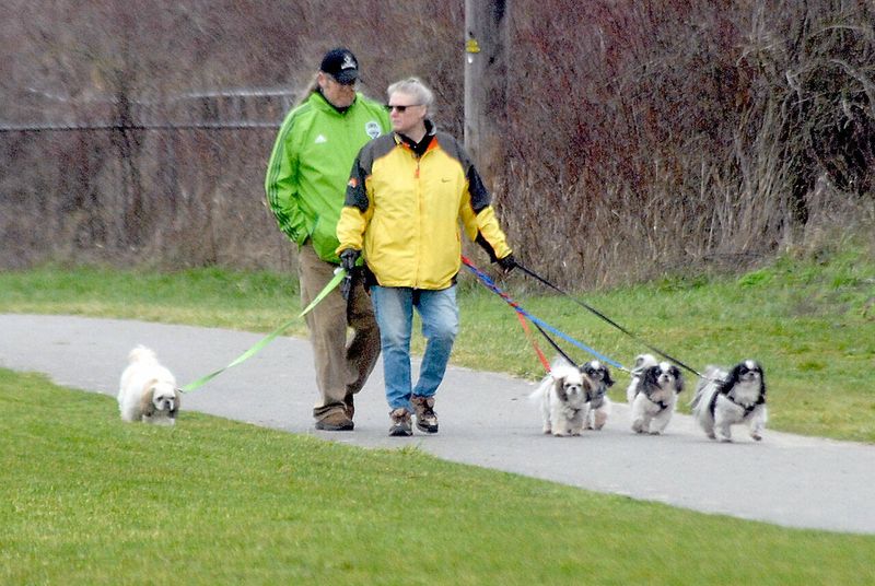 Moderate Exercise Needs