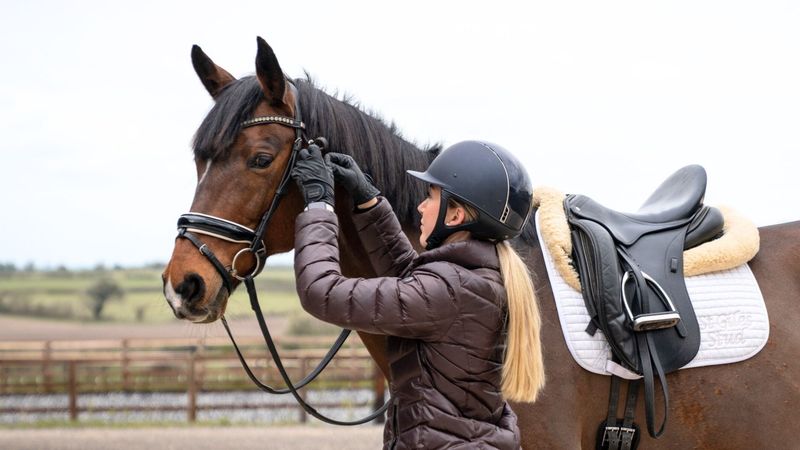 Monitor Your Horse's Health During the Ride