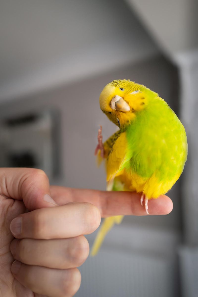 Monitoring Behavior Changes