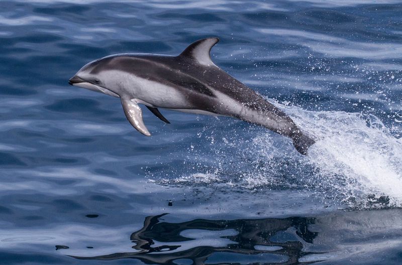 Monterey Bay, California
