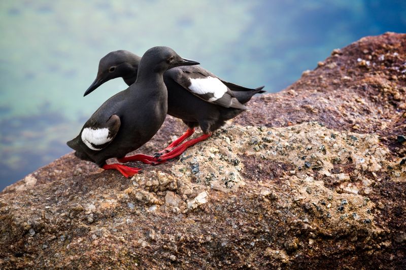 Monterey Bay, California