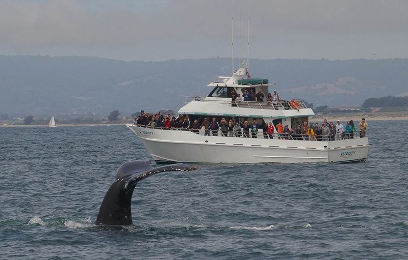 Monterey, California