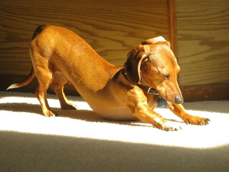 Morning Stretch