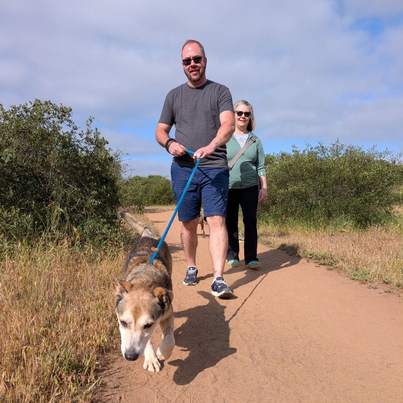 Morning Walks Together