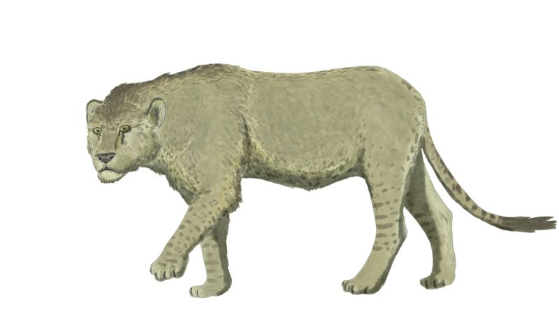 Mosbach Lion