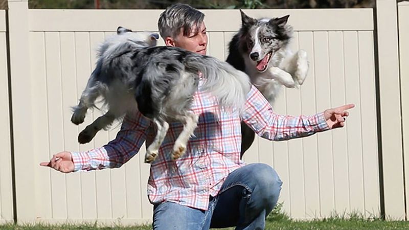 Most Tricks Performed by a Dog in One Minute