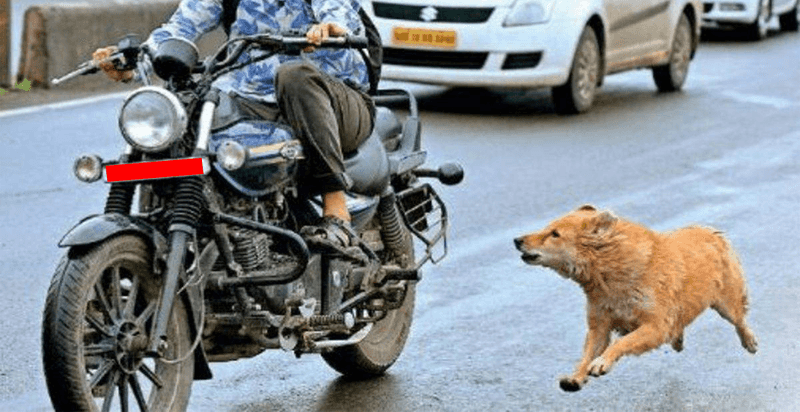 Motorcycles