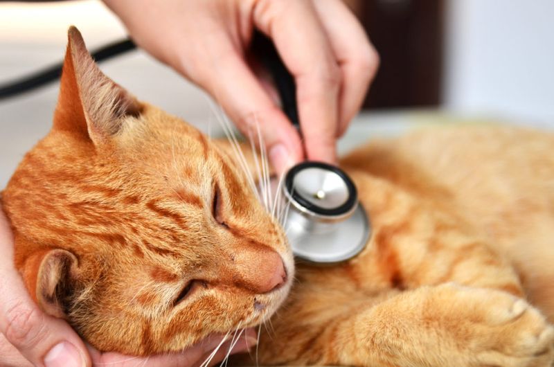 Mysterious Health Issues