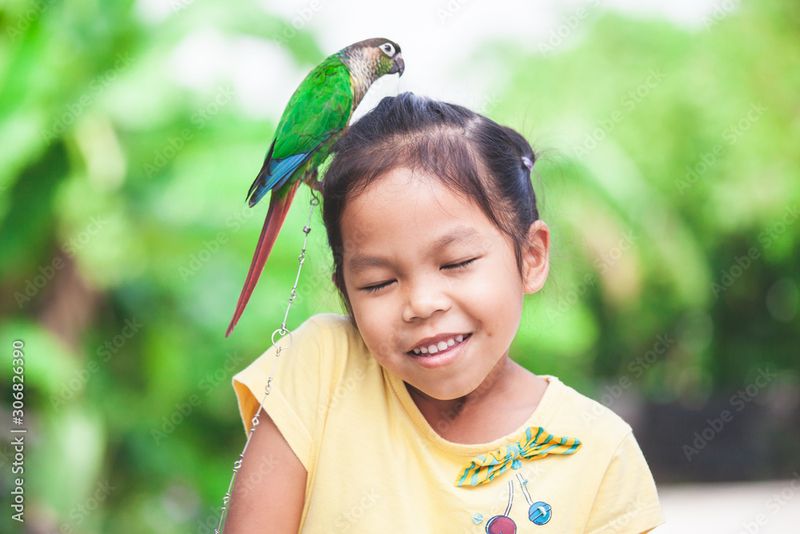 Myth 15: Birds Are Not Good Pets for Kids
