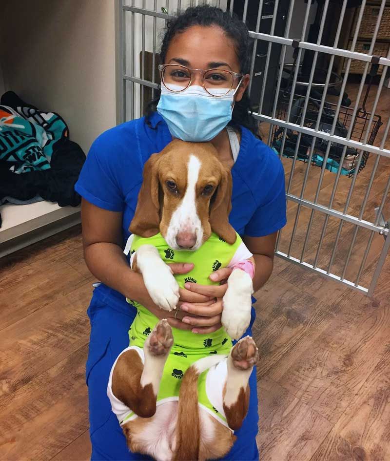 Myth 2: Shelter Dogs Are Unhealthy