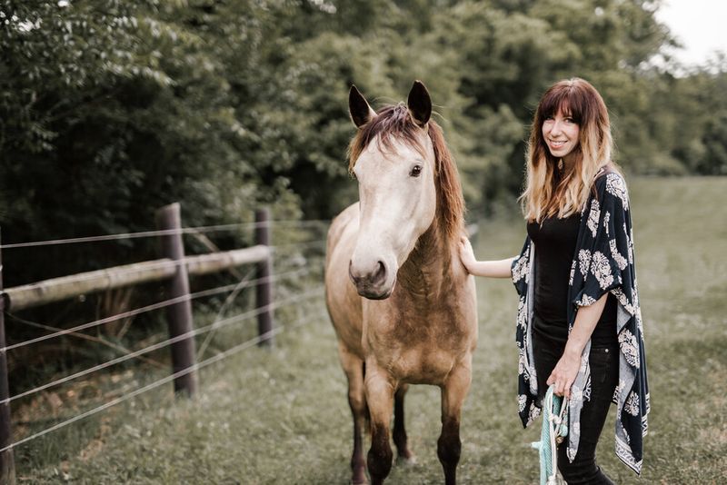 Myth 4: Wild Horses Are Completely Untamed