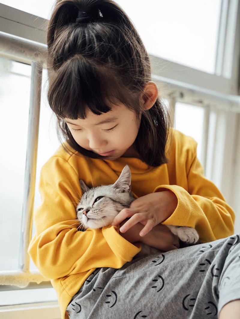 Myth 5: Rescue Cats Aren't Good with Kids