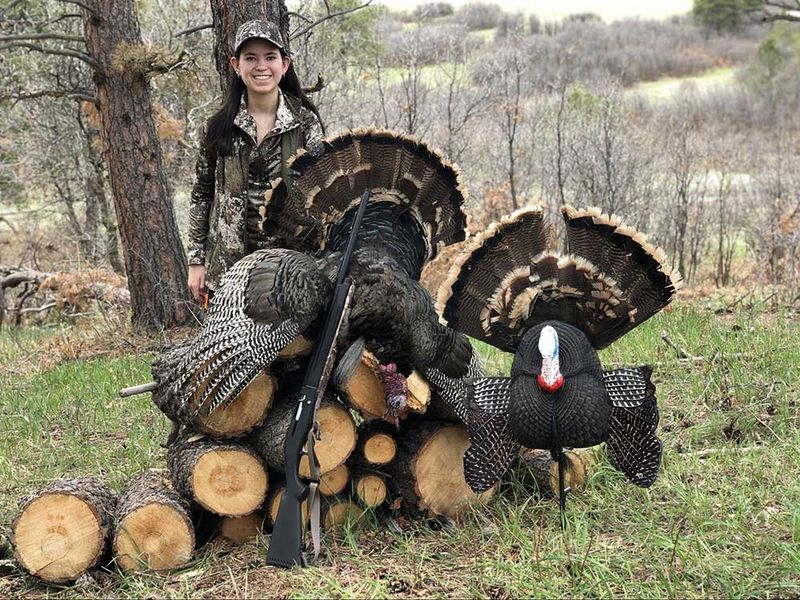 Myth 6: Only Experts Can Hunt Turkeys