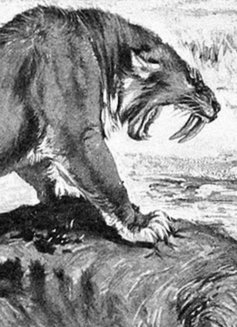 Mythology and Symbolism