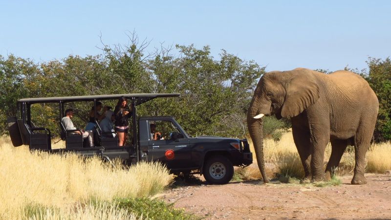 Namibia Desert Elephant Safari