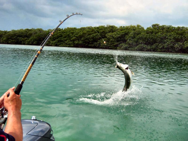 Naples, Florida