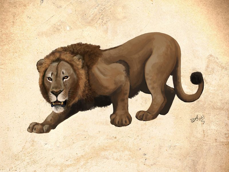 Natodomeri Lion