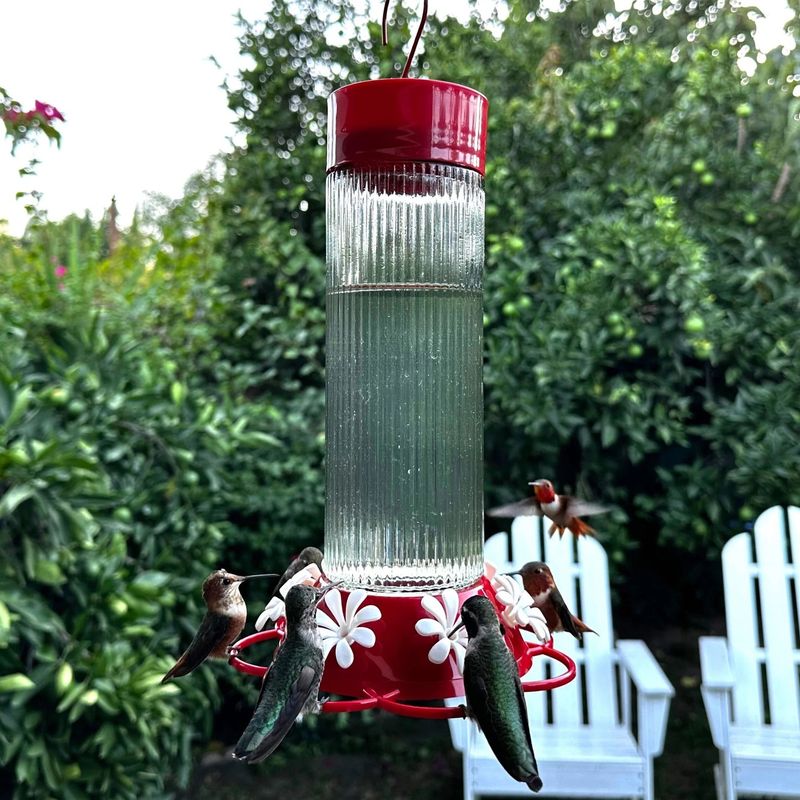 Near Bird Feeders for Larger Birds
