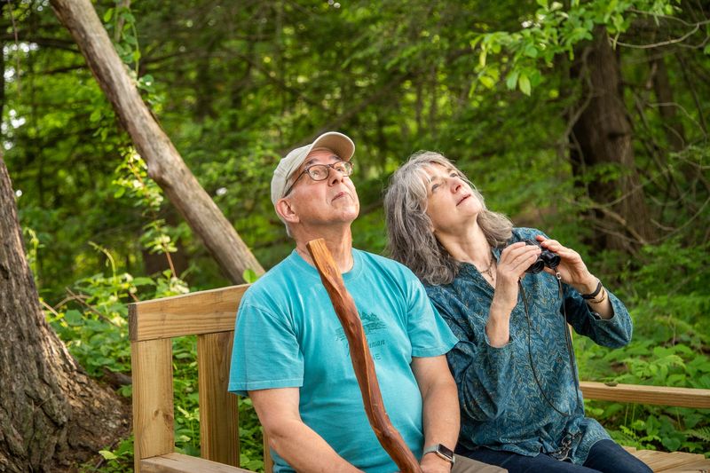 Neglecting Bird Calls