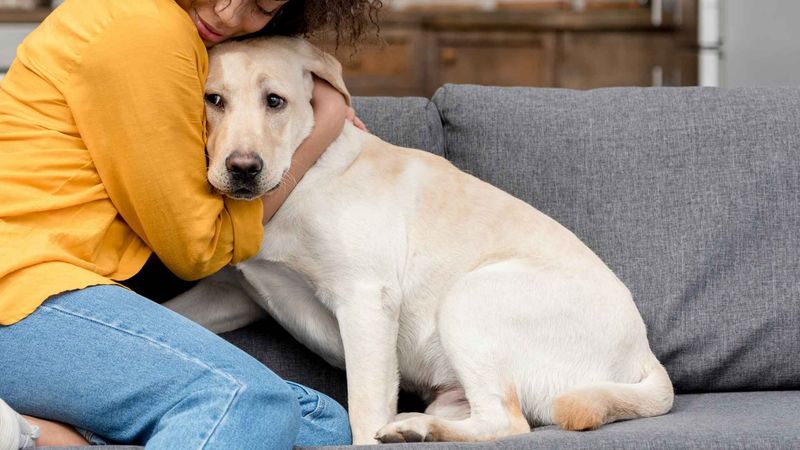 Neglecting Emotional Needs