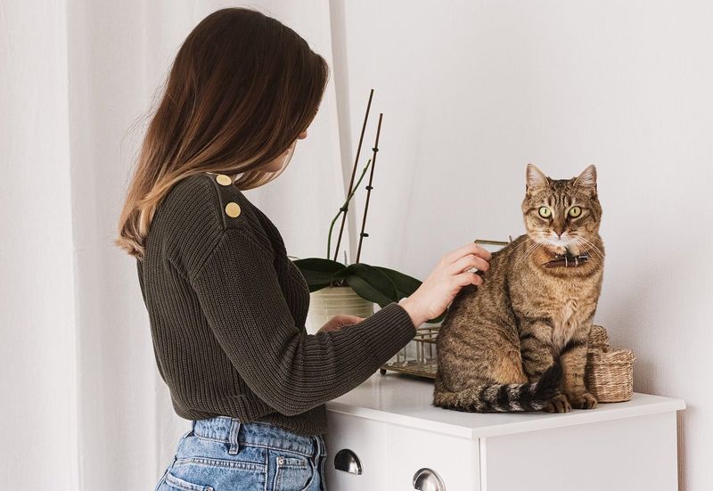 Neglecting Grooming Needs