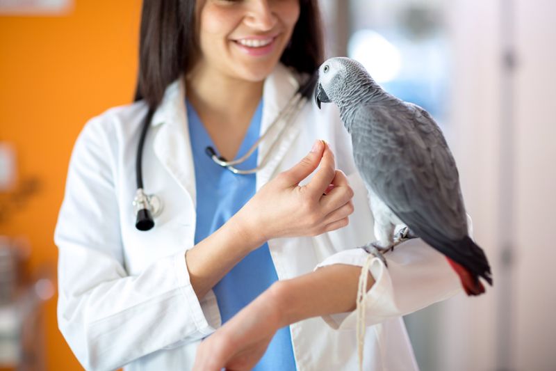 Neglecting Regular Health Checkups
