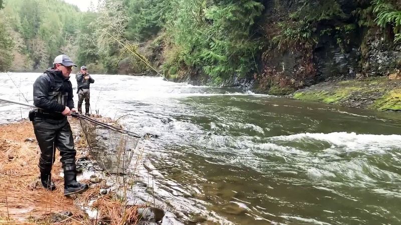 Nehalem River, Oregon