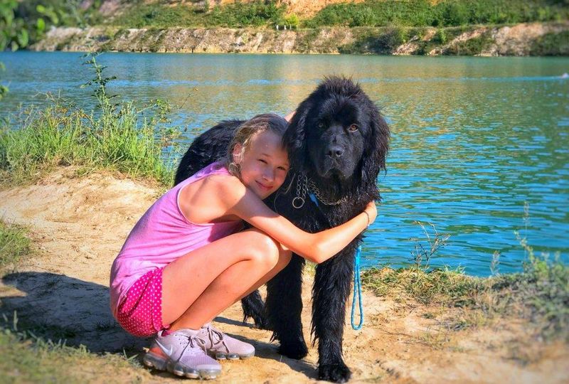 Newfoundland