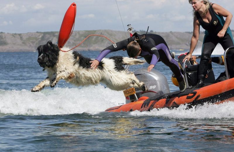Newfoundland