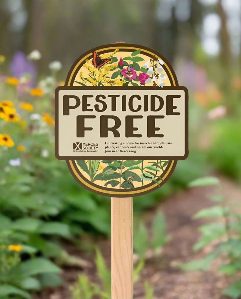 No Chemical Pesticides