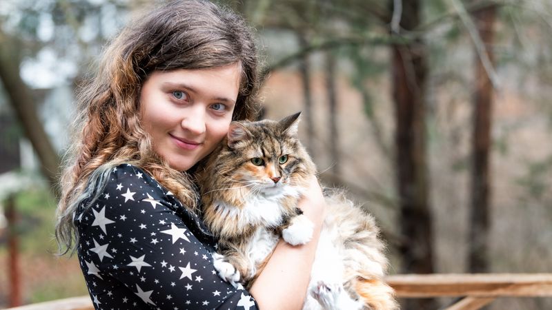 Norwegian Forest Cat