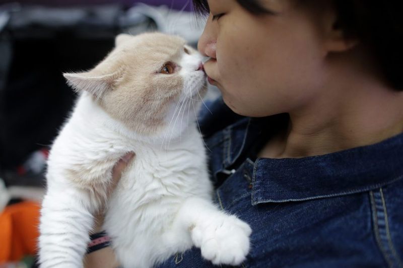 Nose-to-Nose Greetings