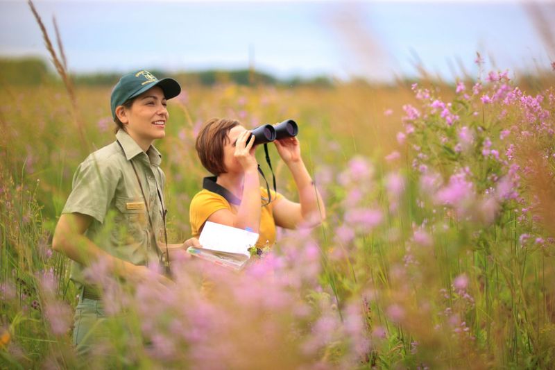 Not Bringing Binoculars