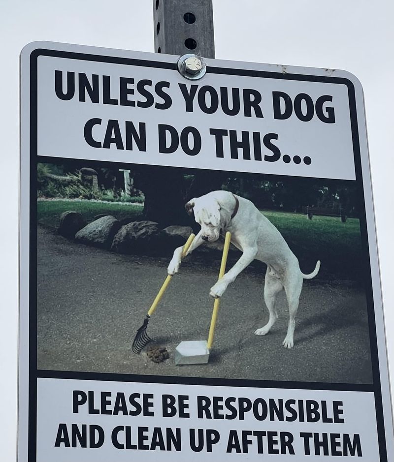 Not Cleaning Up After Your Dog