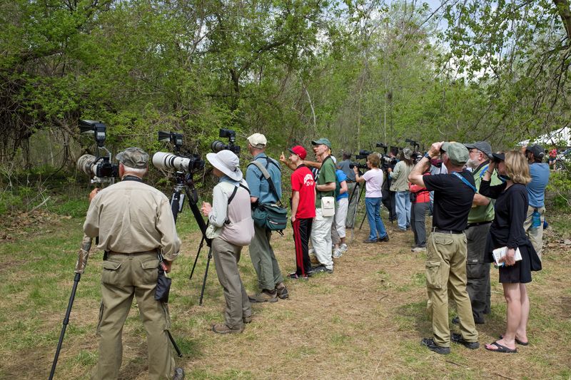 Not Joining Birdwatching Groups