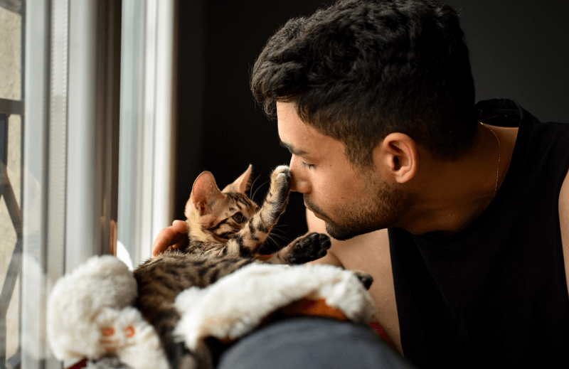 Observe Interaction with Your Cat