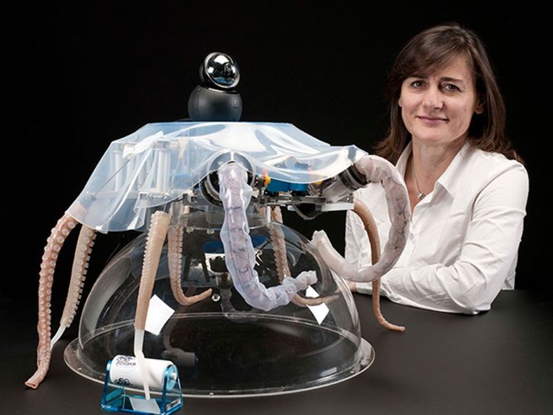 Octopus and Robotics