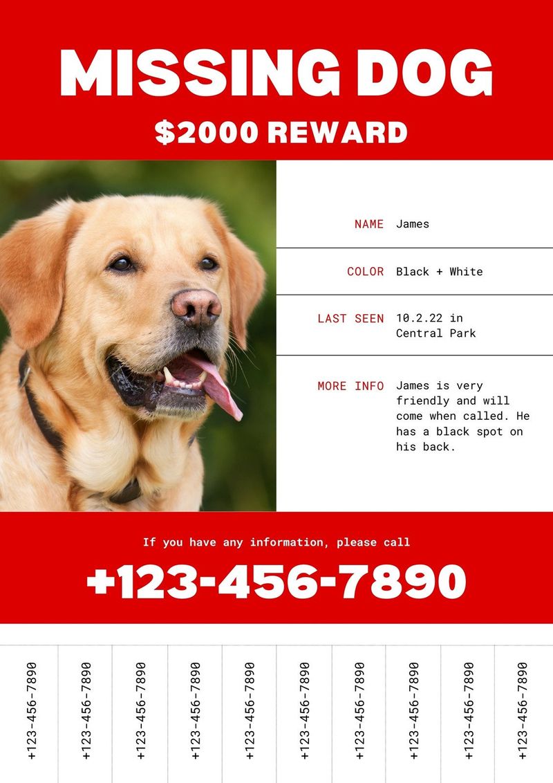 Offer a Reward