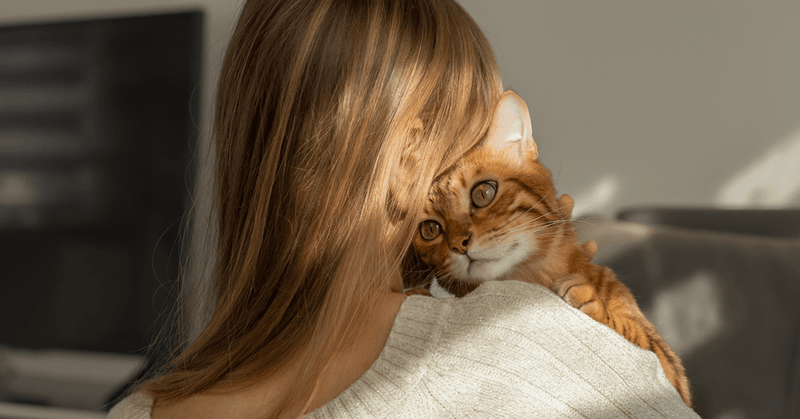 Offering Comfort Through Routine