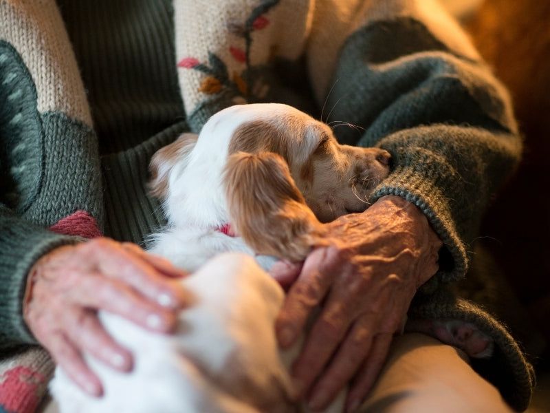 Offering Comfort