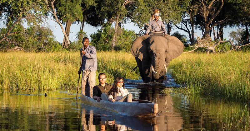 Okavango Delta Adventure