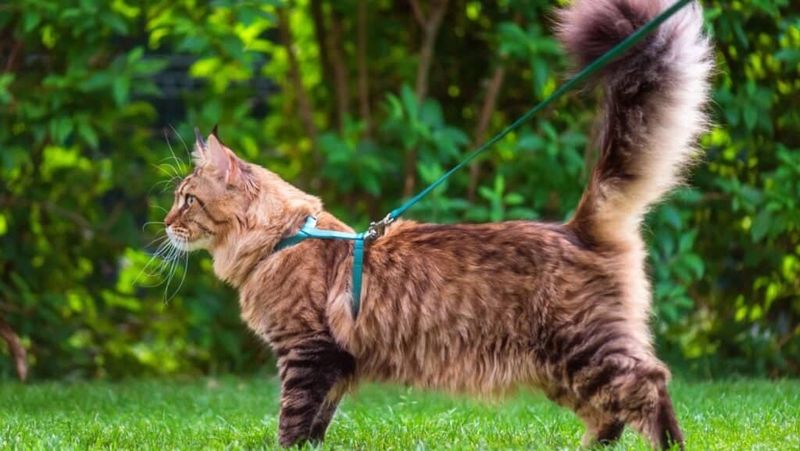 Outdoor Exploration