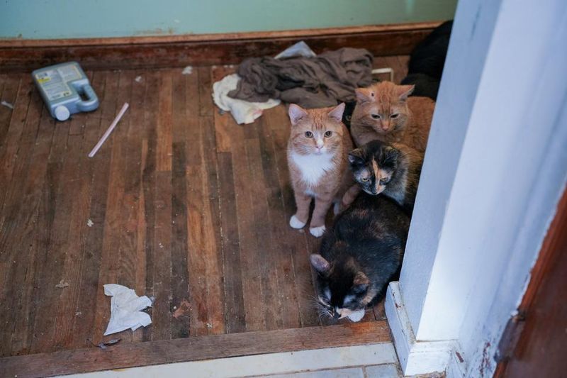 Overcrowded Living Conditions