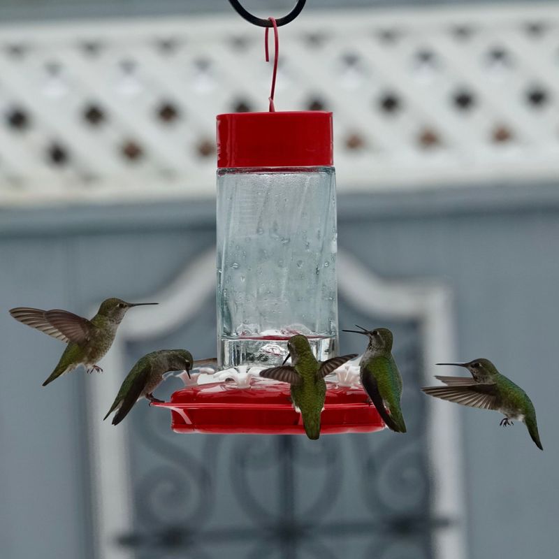Overcrowding Feeders