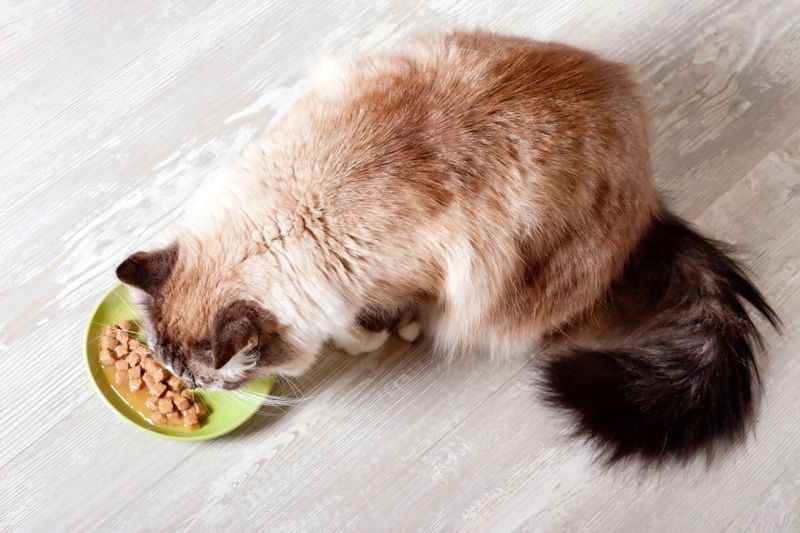 Overeating or Weight Gain
