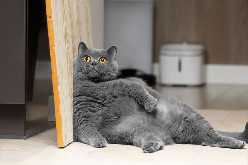 Overeating